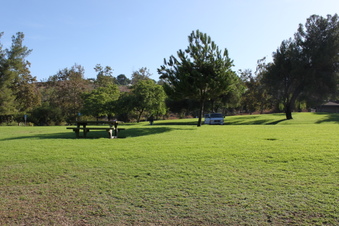 Enlarge photo 76