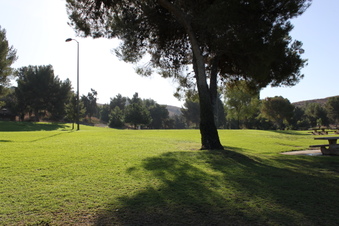 Enlarge photo 77
