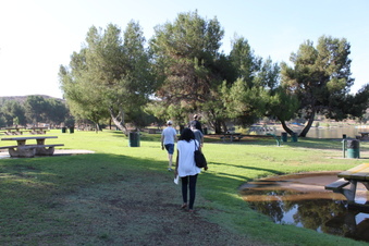 Enlarge photo 78