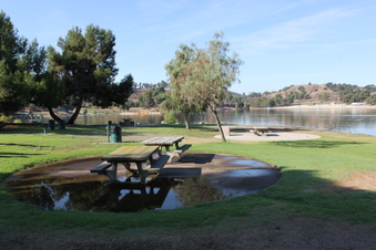 Enlarge photo 79