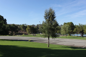 Enlarge photo 82