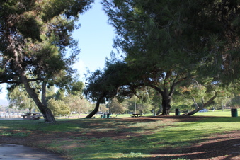 Enlarge photo 88