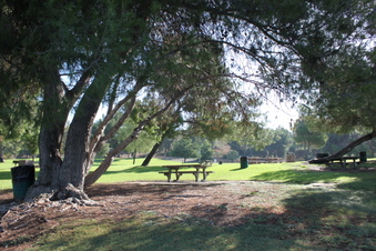 Enlarge photo 89