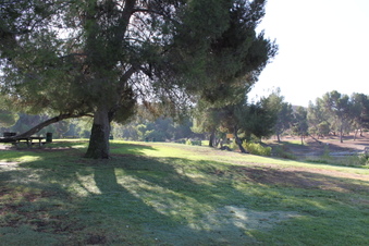 Enlarge photo 90