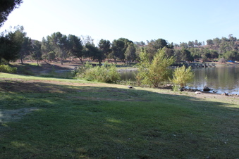 Enlarge photo 91