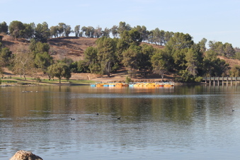 Enlarge photo 92
