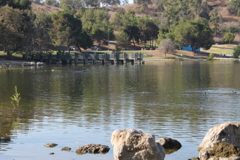 Enlarge photo 93