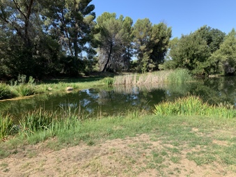 Enlarge photo 6