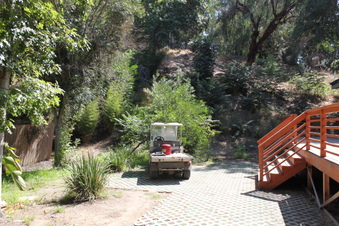 Enlarge photo 11
