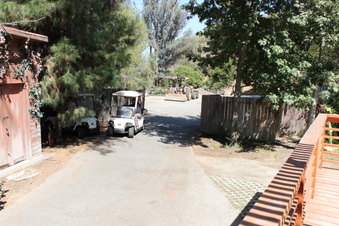 Enlarge photo 17