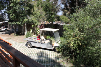 Enlarge photo 21
