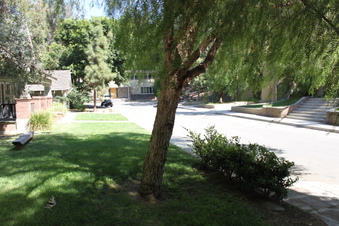 Enlarge photo 91