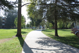 Enlarge photo 6