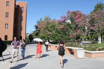 Enlarge photo 15