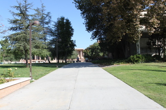 Enlarge photo 17