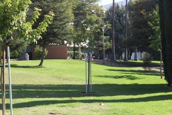Enlarge photo 19