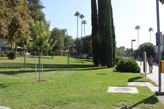 Enlarge photo 20