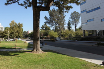 Enlarge photo 34
