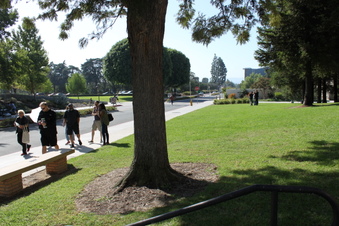 Enlarge photo 36
