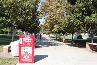Enlarge photo 37