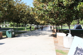 Enlarge photo 42