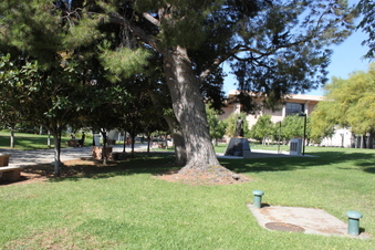 Enlarge photo 43
