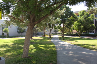 Enlarge photo 48