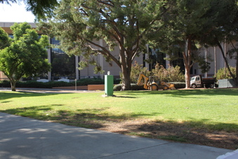 Enlarge photo 49