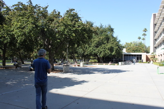 Enlarge photo 57
