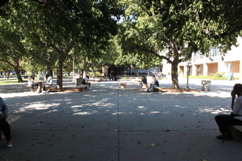 Enlarge photo 62