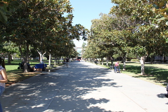Enlarge photo 64