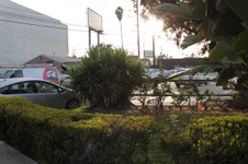 Enlarge photo 13