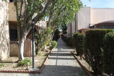 Enlarge photo 33