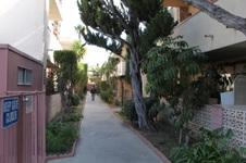 Enlarge photo 42