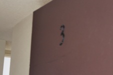 Enlarge photo 44