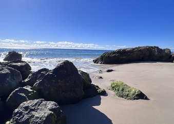 Enlarge photo 23