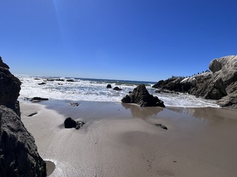 Enlarge photo 13