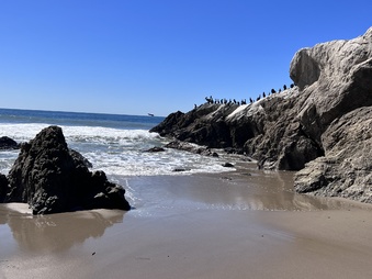 Enlarge photo 11