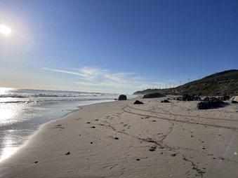 Enlarge photo 14