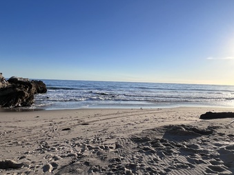 Enlarge photo 21