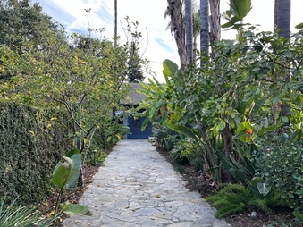 Enlarge photo 23