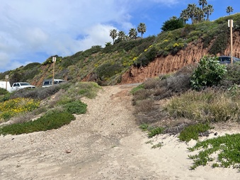 Enlarge photo 32