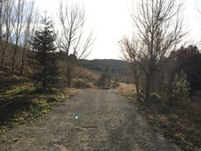 Disney Ranch