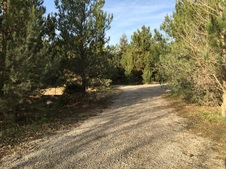 Enlarge photo 2