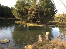 Enlarge photo 4