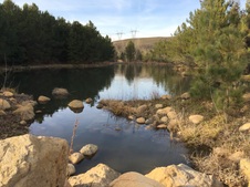 Enlarge photo 5