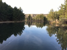 Enlarge photo 8