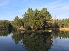 Enlarge photo 10