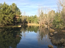 Enlarge photo 11