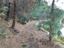 Enlarge photo 12